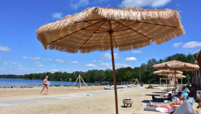 Lake Resort Beekse Bergen