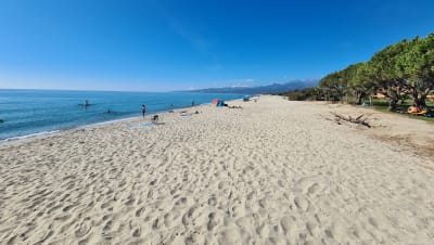 geldgeschenk camping basteln Geldgeschenke aus Holz gestalten - Wellness-Oase  Petras Bastel-News