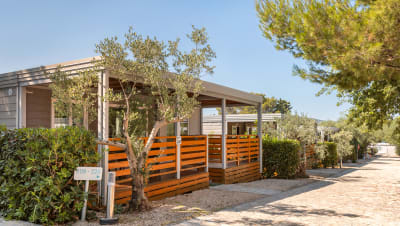 Camping Ljuti | Dalmatien | Kroatien | Eurocamp