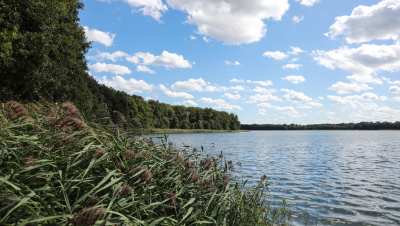 Eurocamp Spreewaldtor | Berlin-Brandenburg | Eurocamp