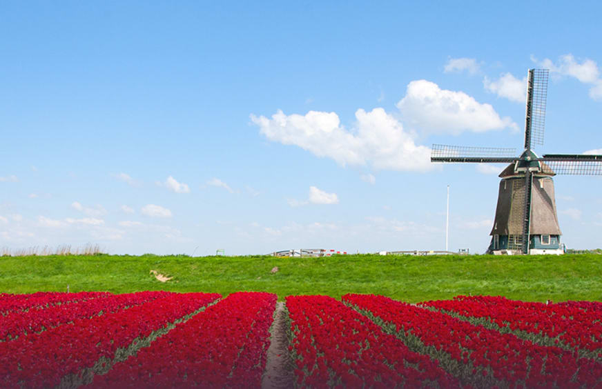 Camping in The Netherlands