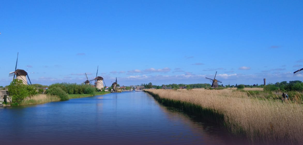 Campings in ZuidHolland