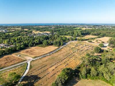 Aerial view of the Carnac row of standing stones, Menhirs, and nearby coast, Brittany, France