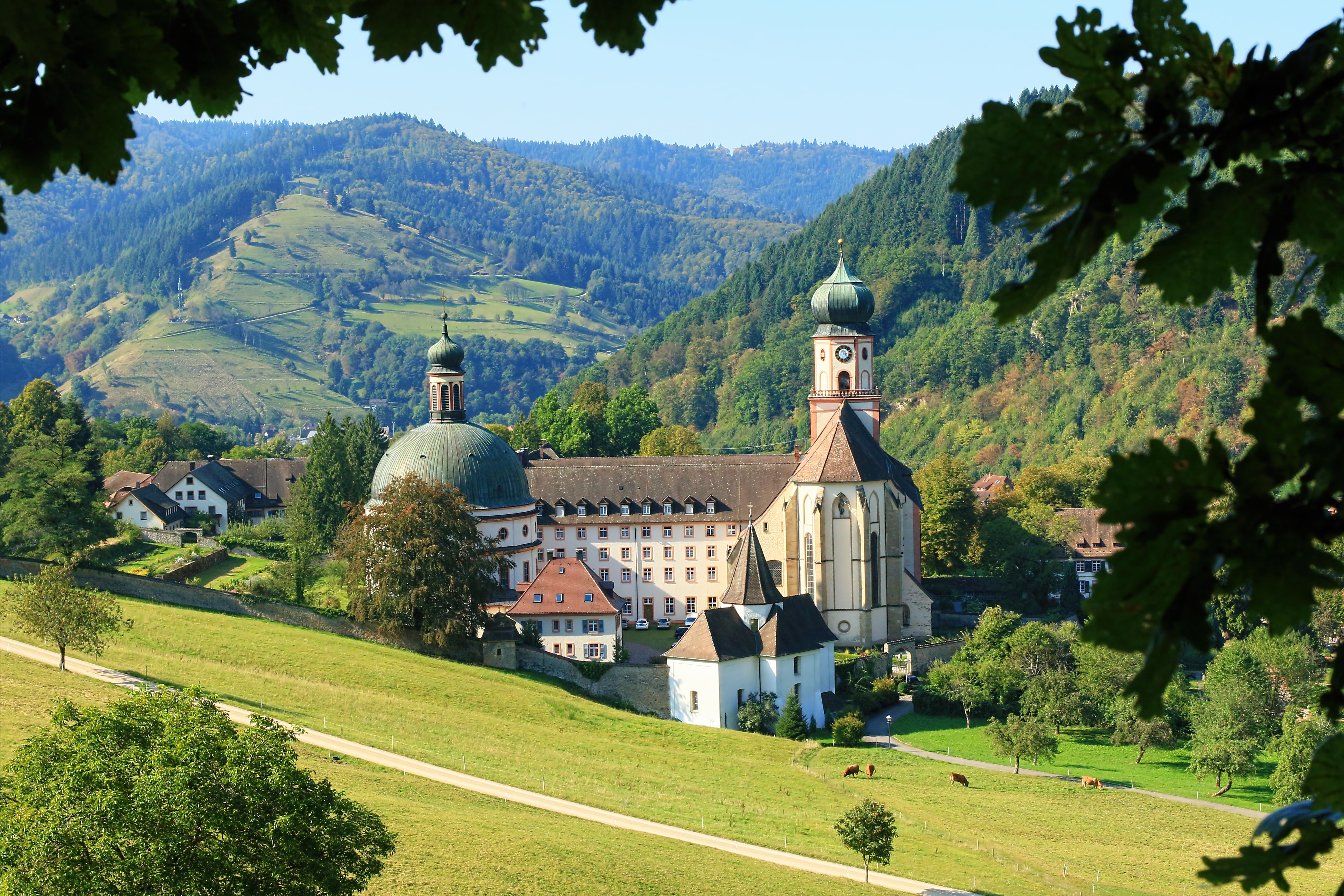 Camping Holidays in The Black Forest | Germany | Eurocamp