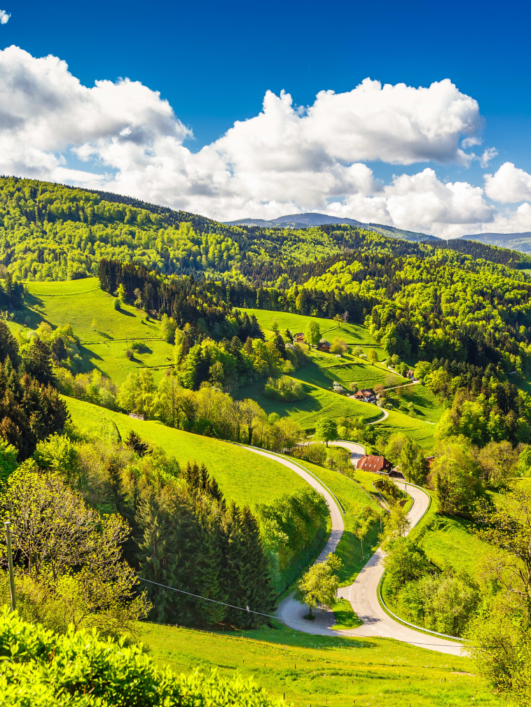 Camping Holidays in The Black Forest | Germany | Eurocamp