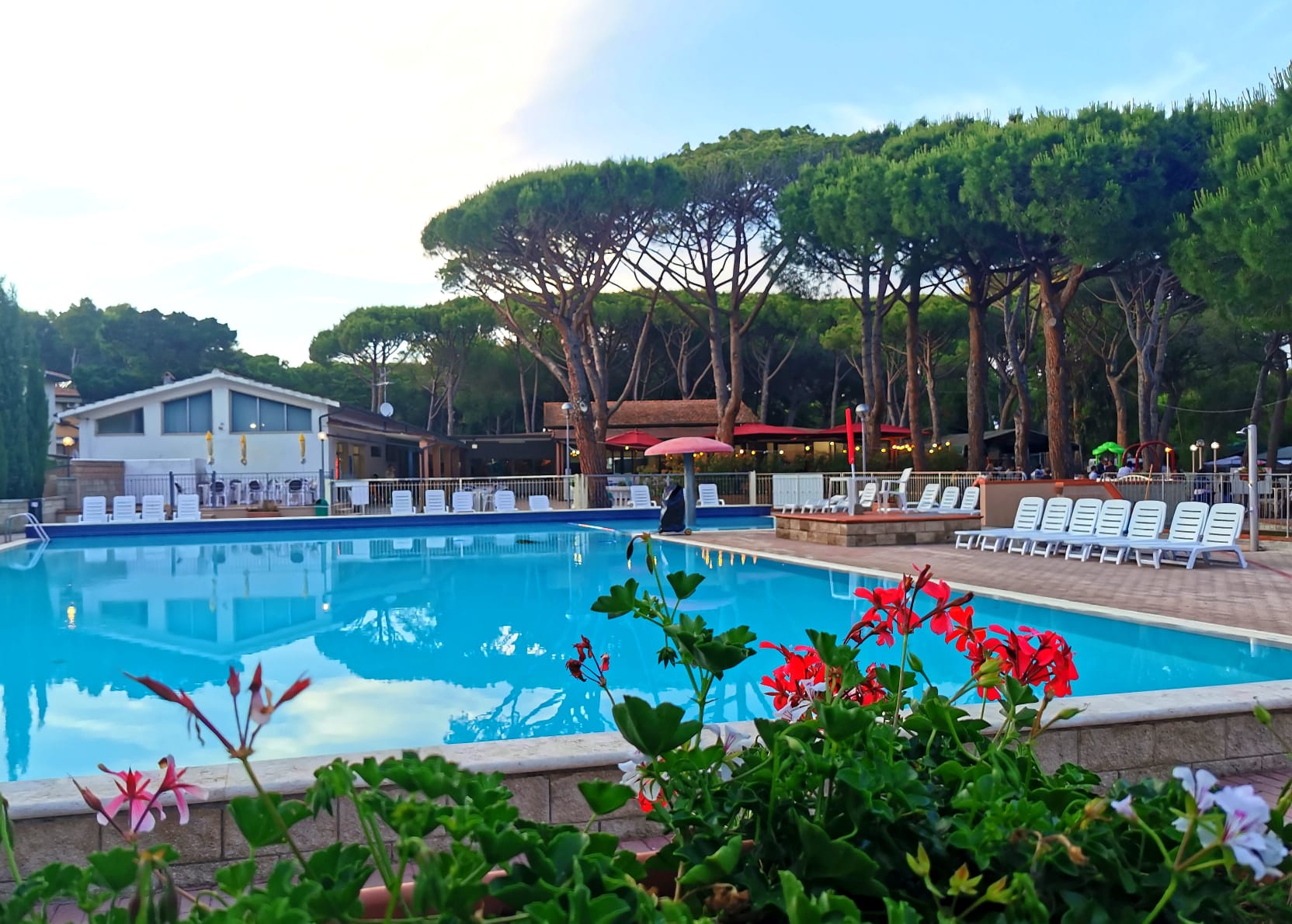 De Forte Camping, Marina di Bibbona | Tuscany | Eurocamp - Main photo