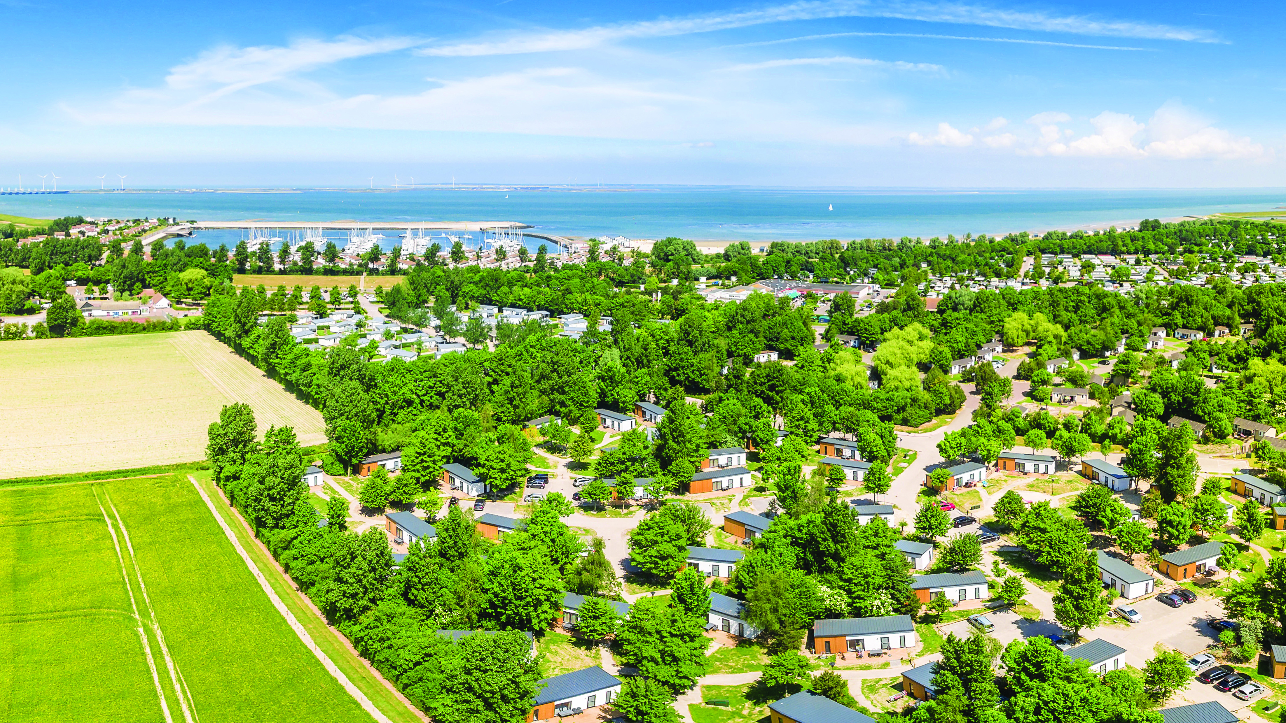 markise wohnmobile Front Runner Easy-Out Markise 2,50 m schwarz  Good Camper GmbH