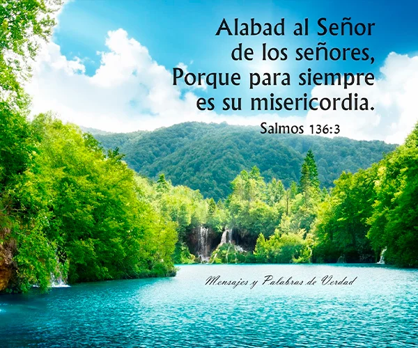 Galería 1