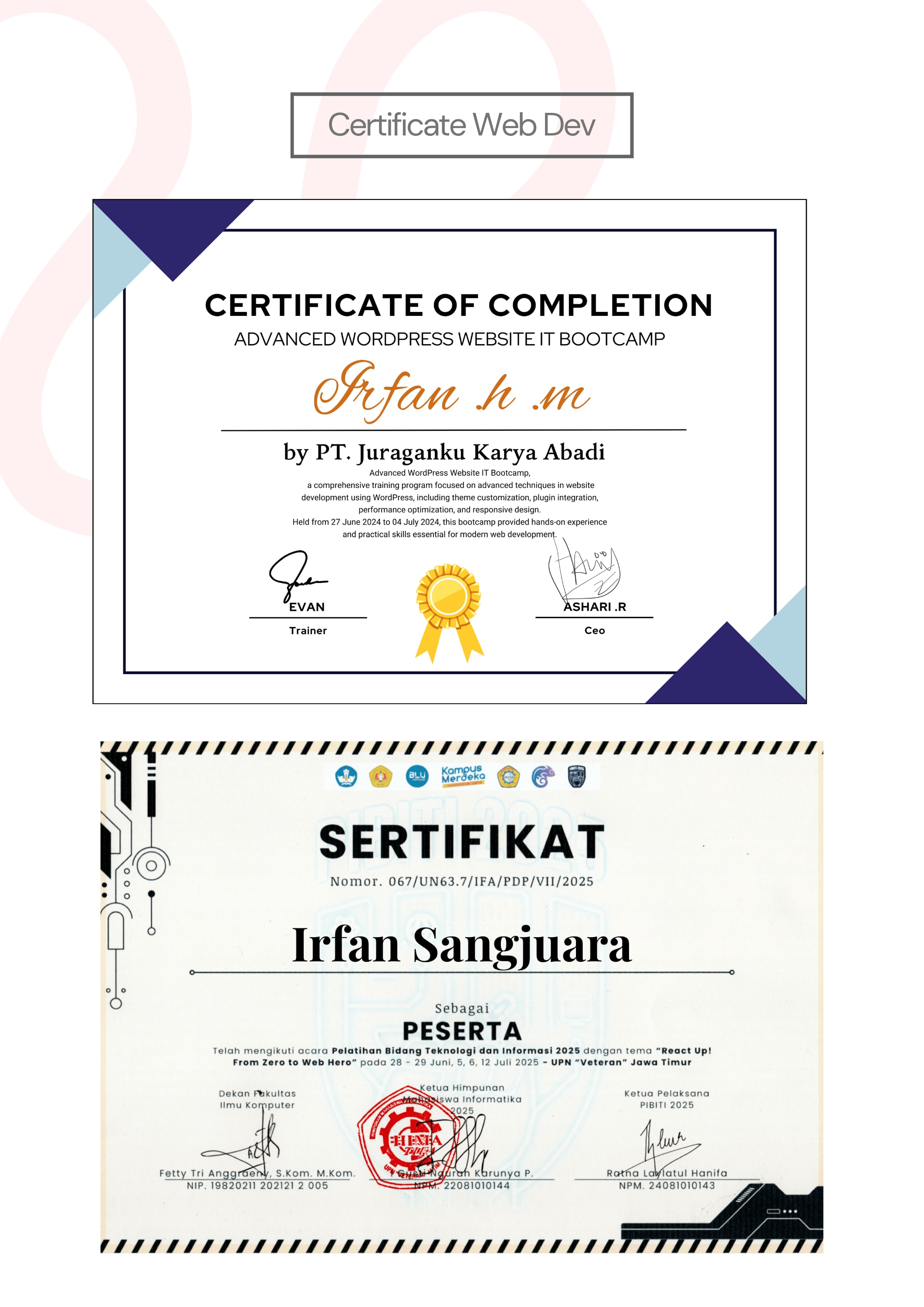 Curriculum Vitae Irfan Sangjuara - Bagian 9