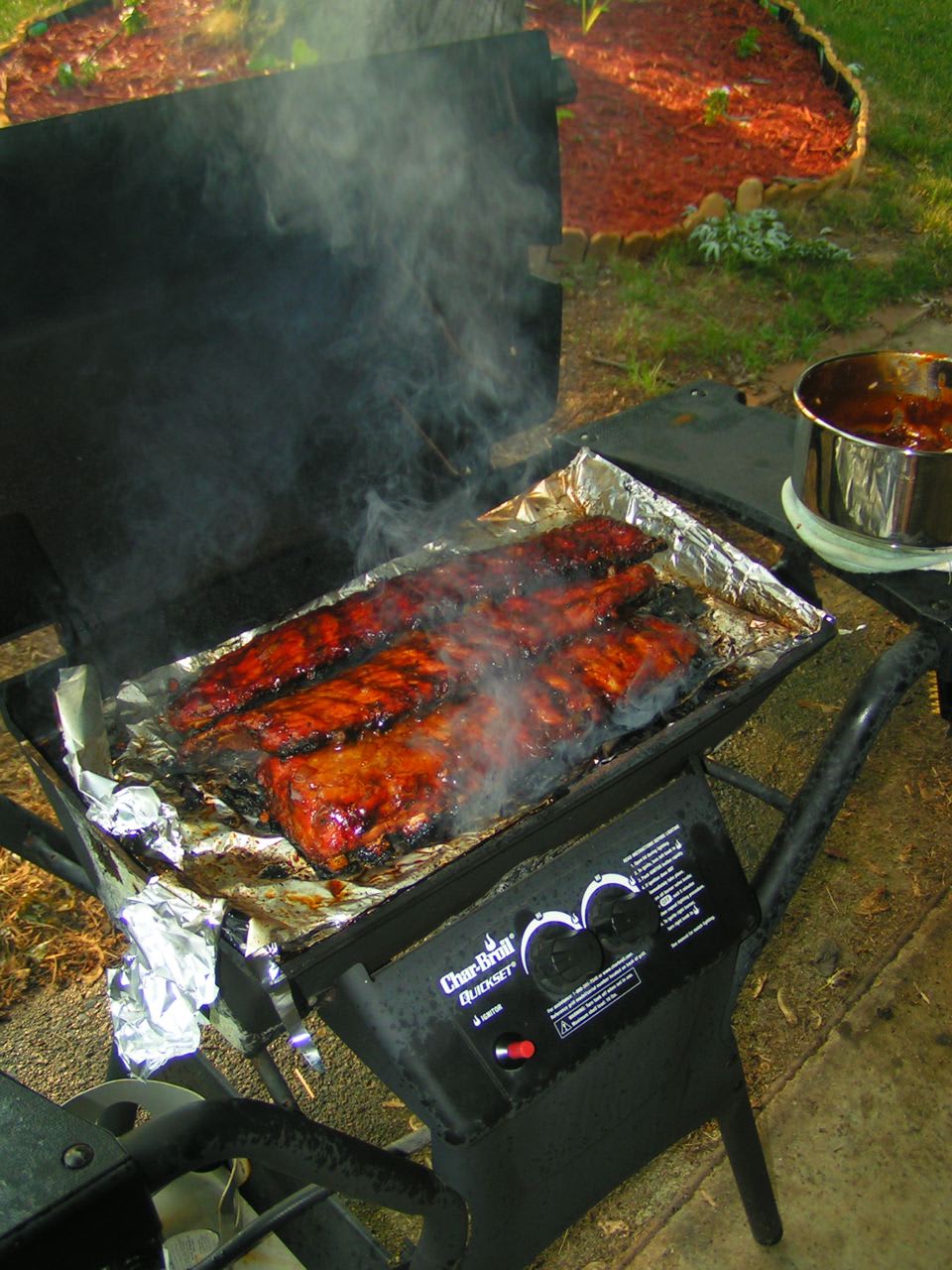 Attempting Ribs