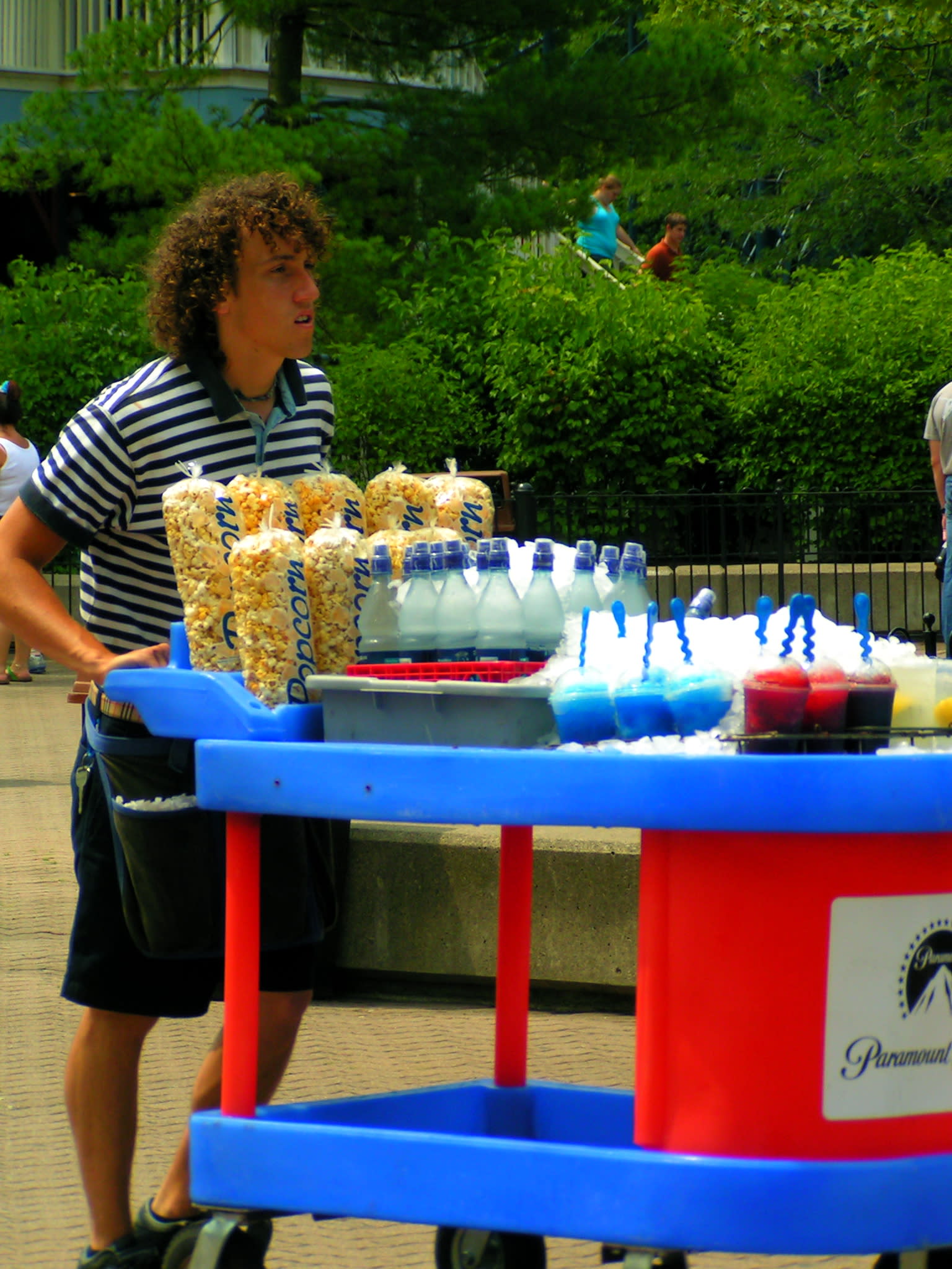 Summer Job