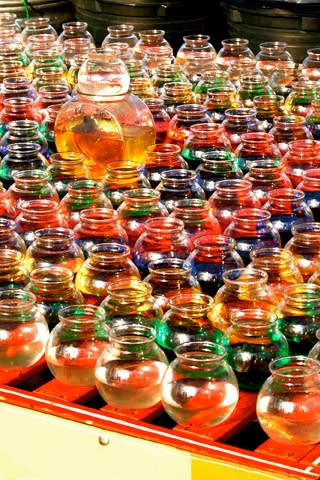 iPhone Wallpaper: Fish Bowls