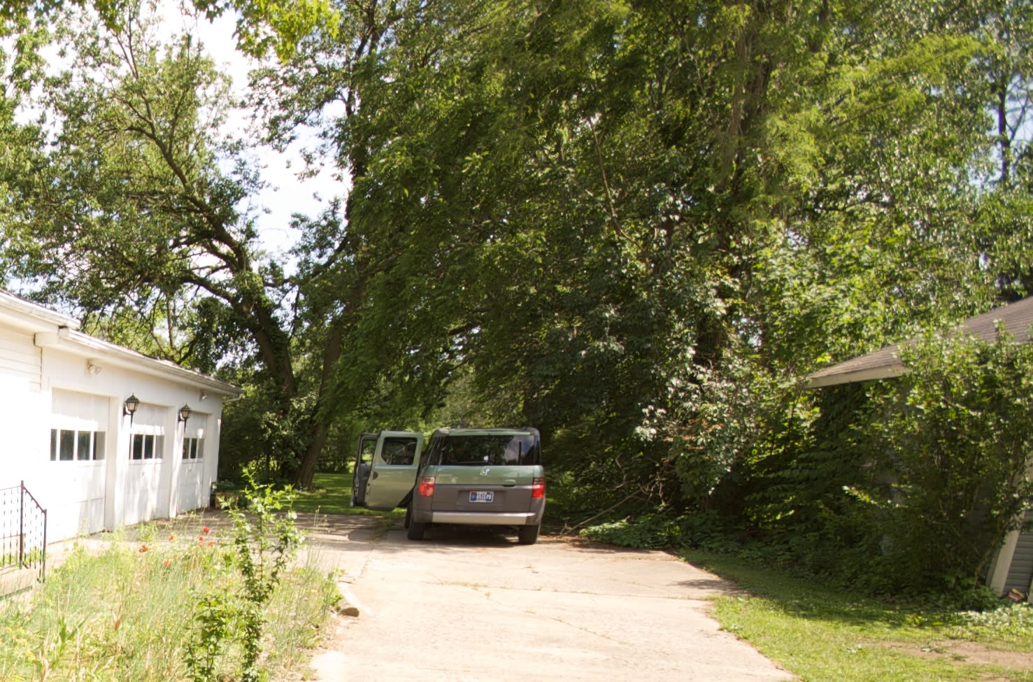 State of the landscaping in Summer of 08