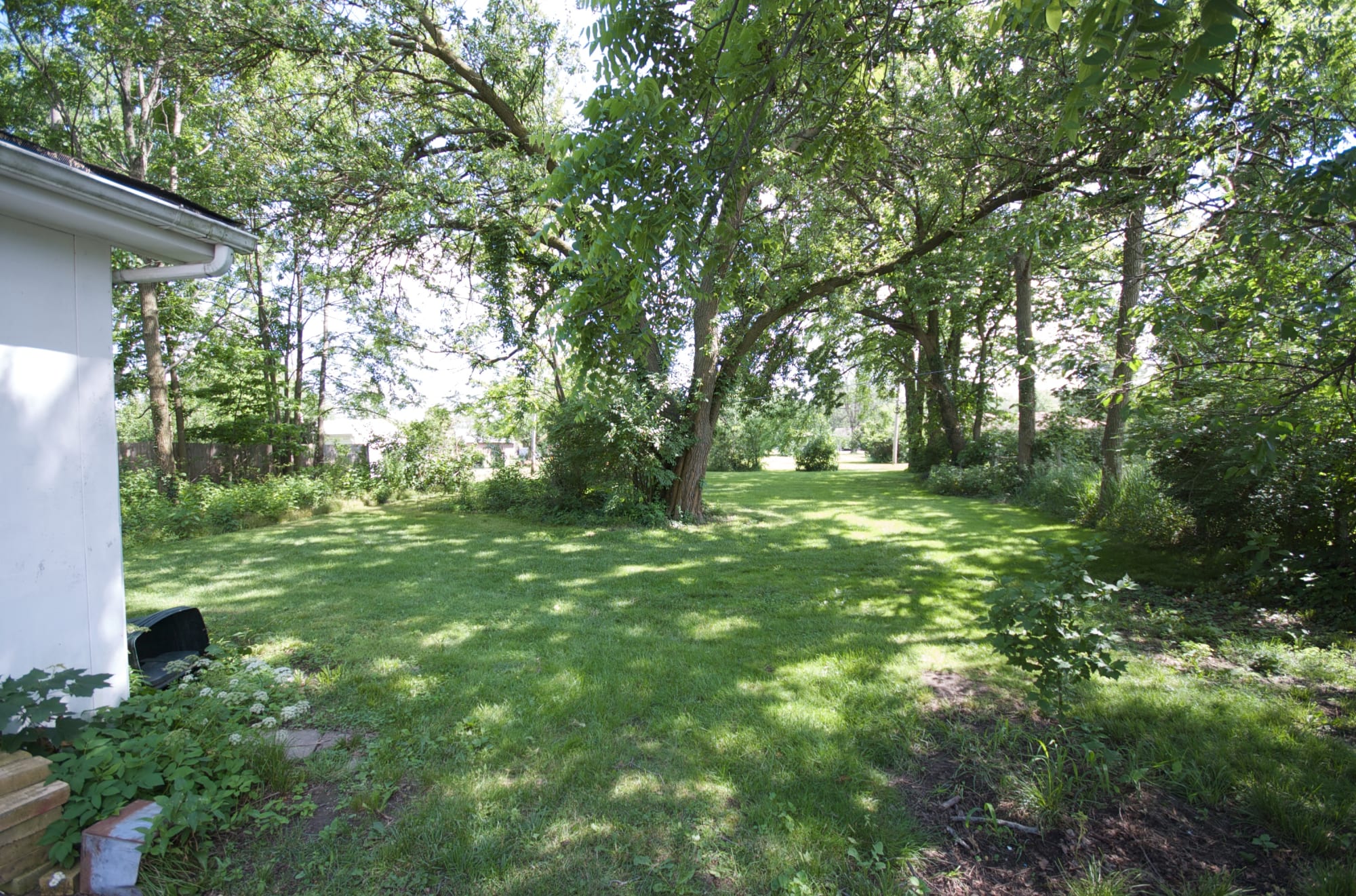 The yard when we moved in