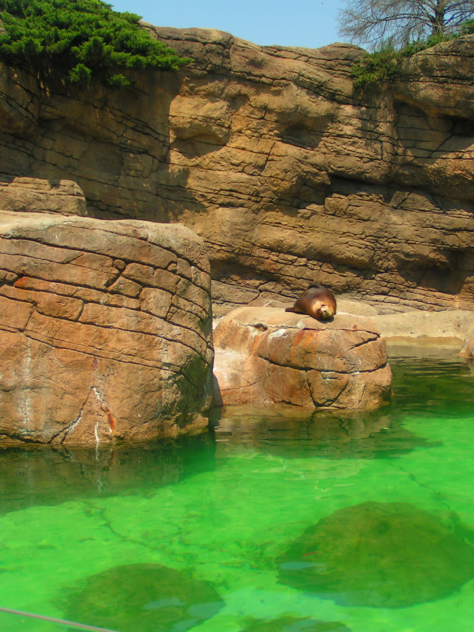 Indianapolis Zoo Photos