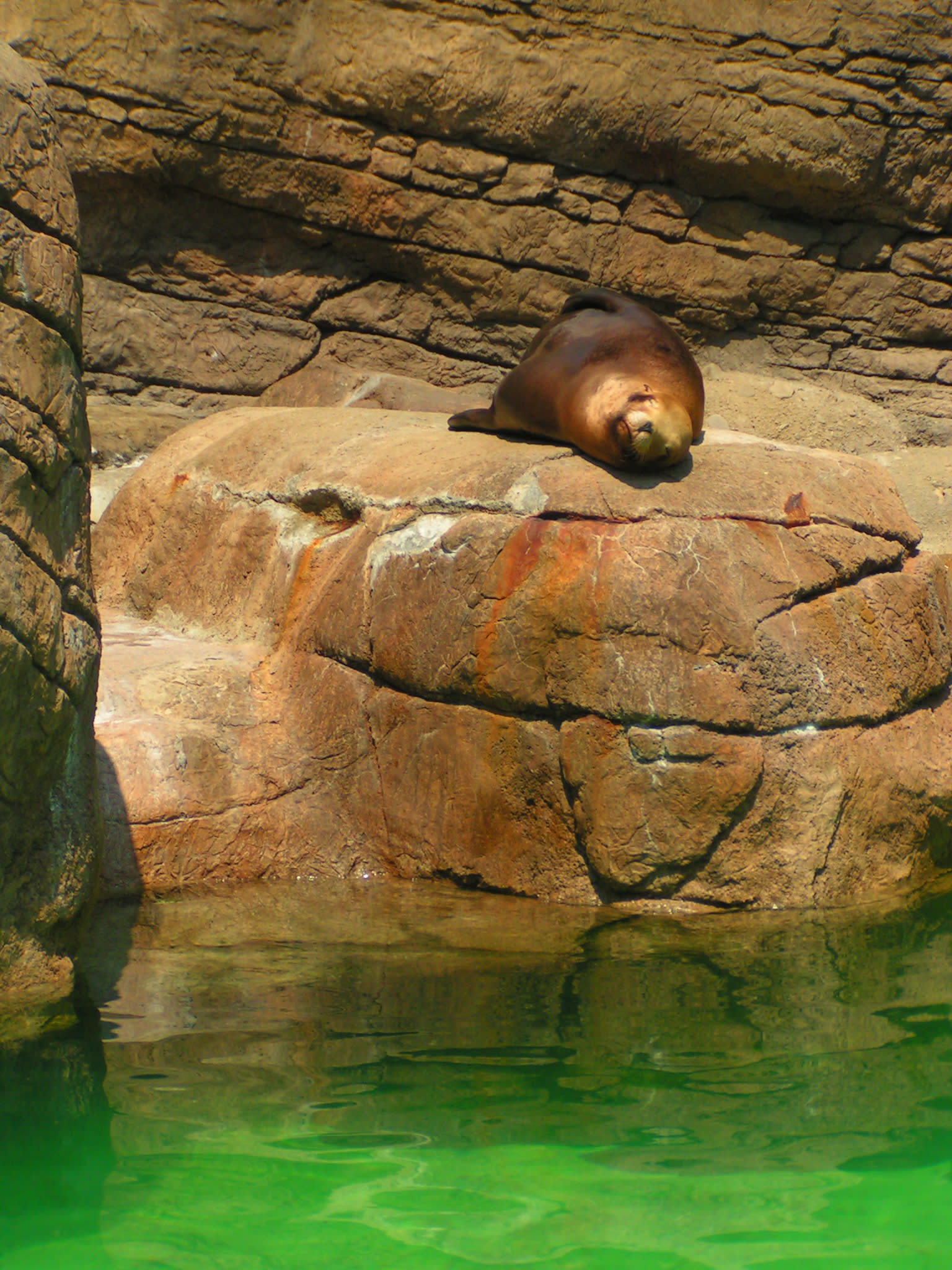 Indianapolis Zoo Photos