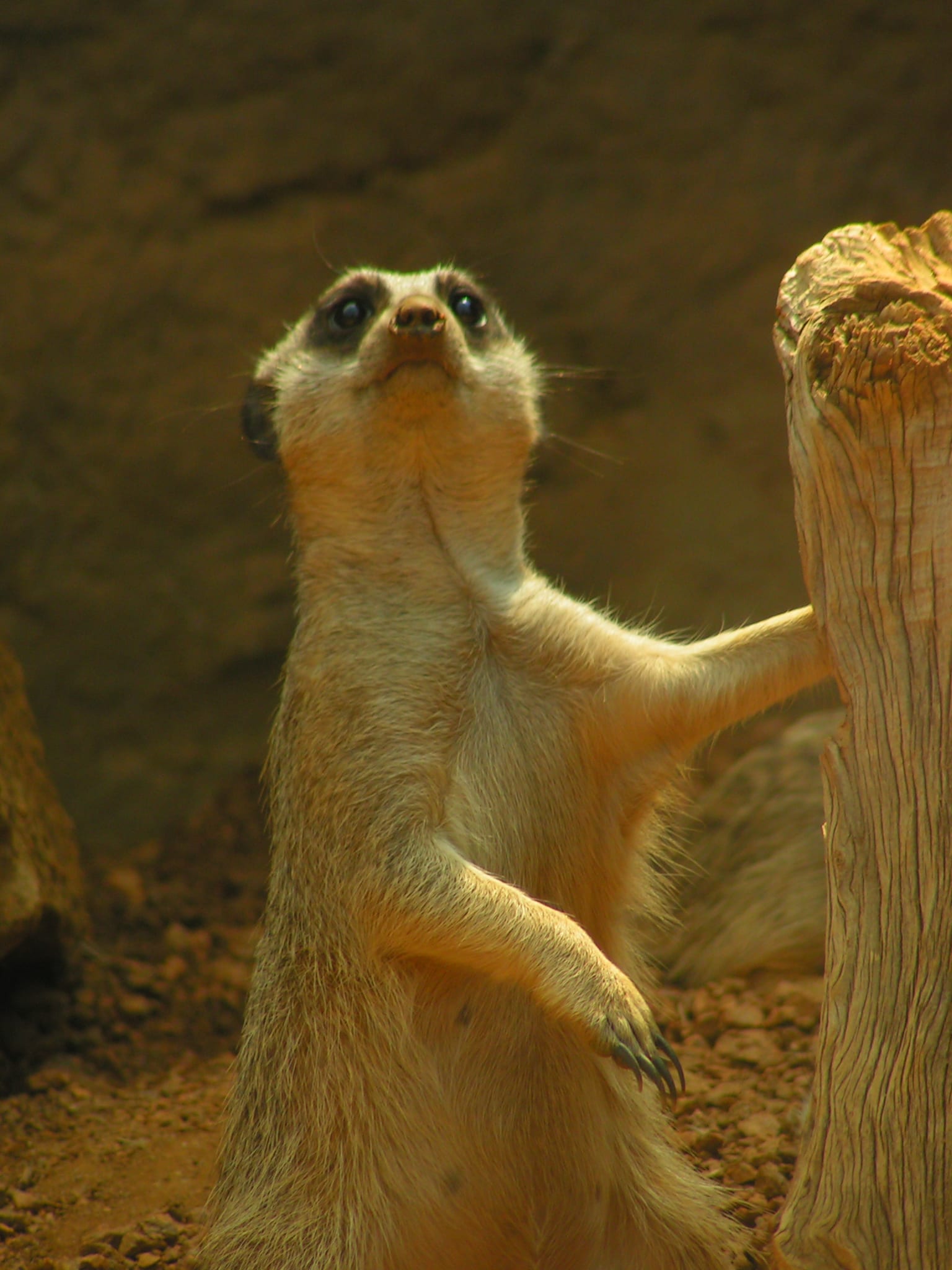 Indianapolis Zoo Photos