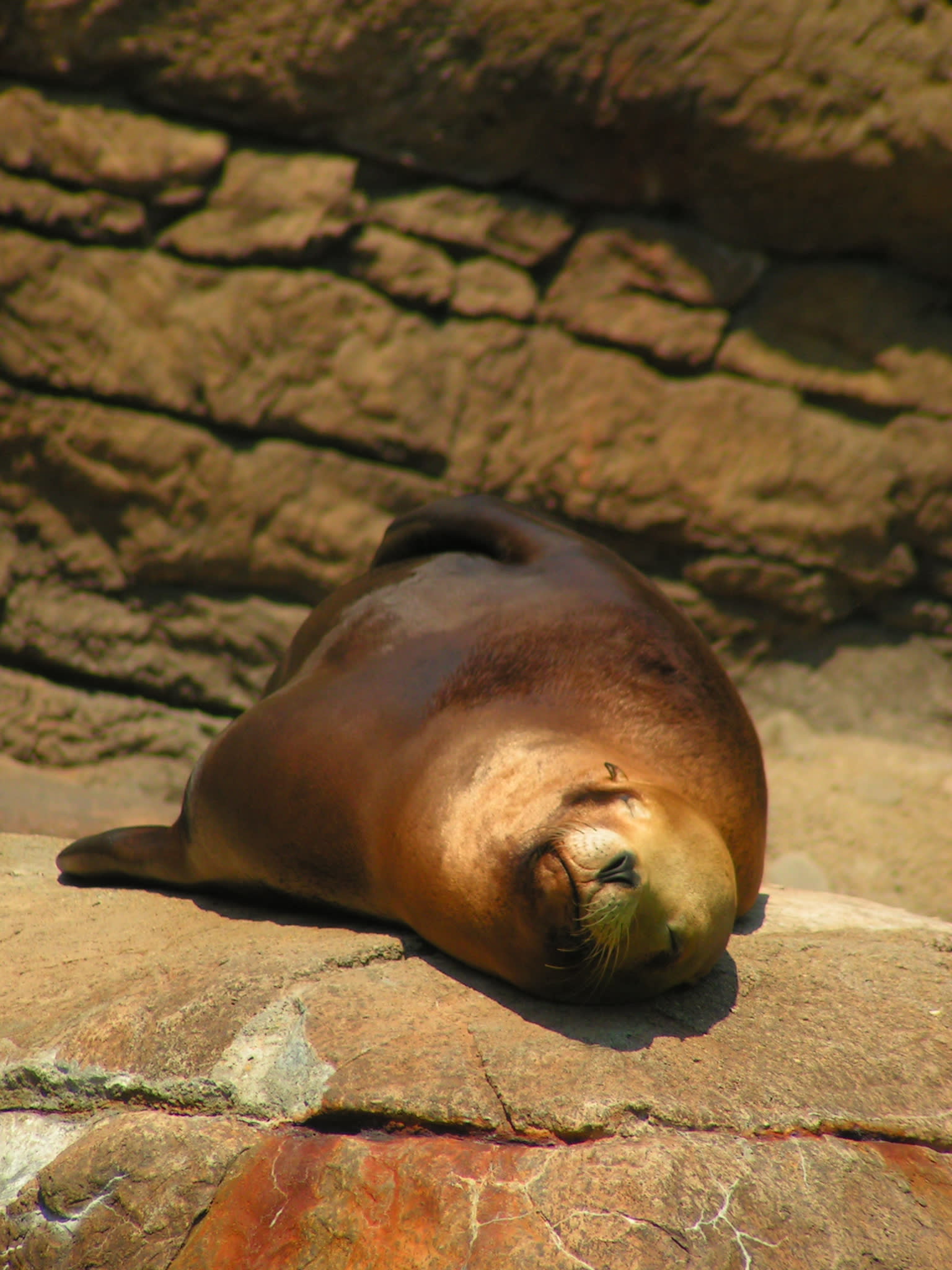 Indianapolis Zoo Photos
