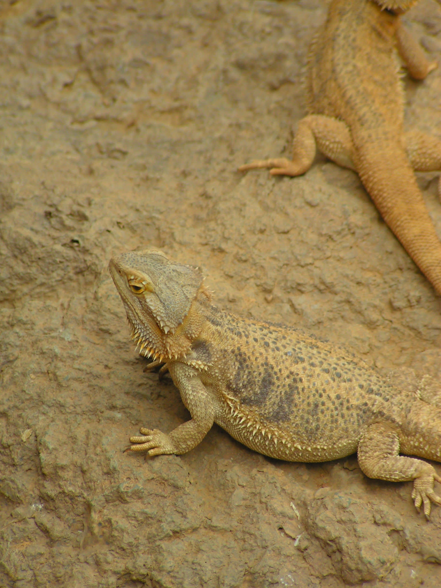 Indianapolis Zoo Photos