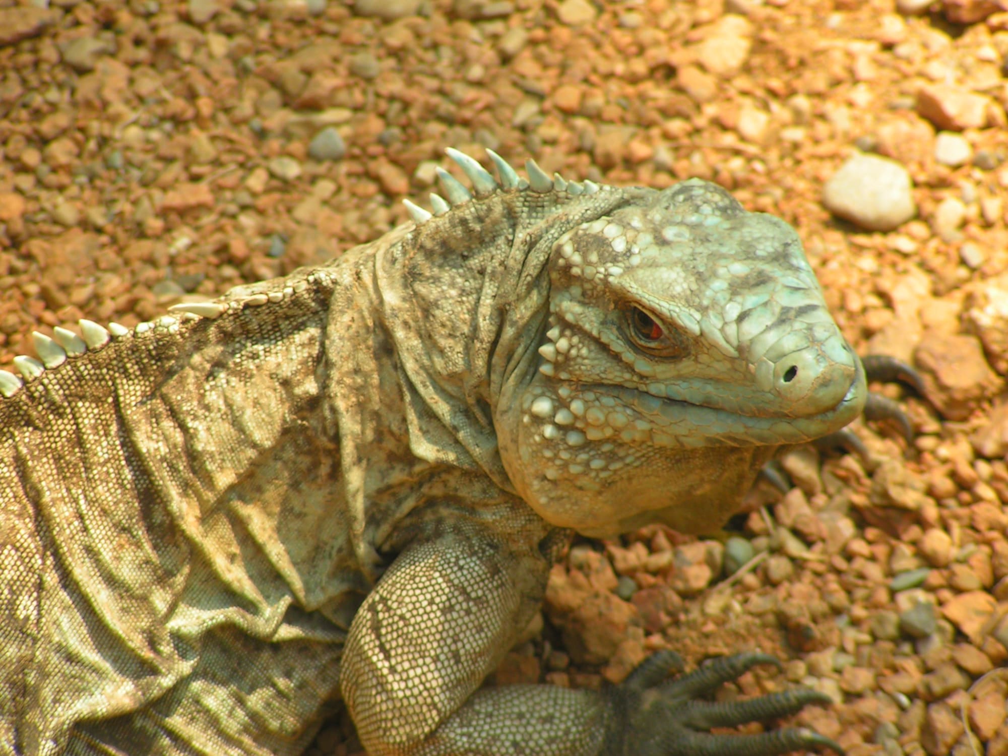 Indianapolis Zoo Photos