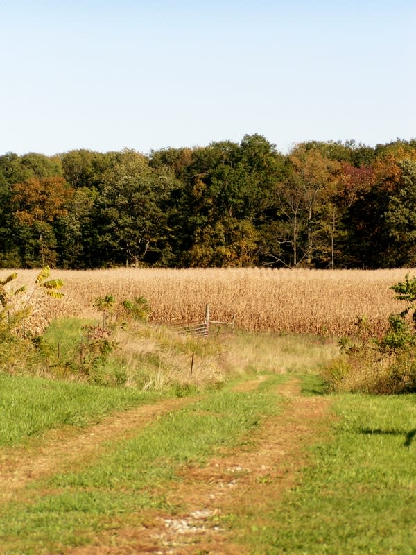 Down on the farm
