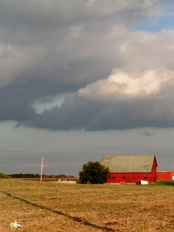 Red Barn 2
