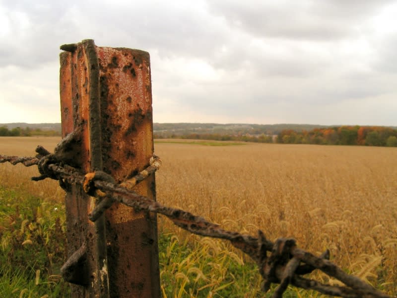 The Fence