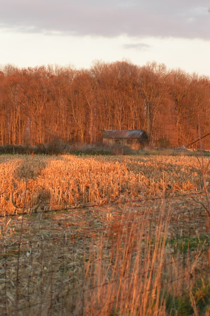 Old Shack