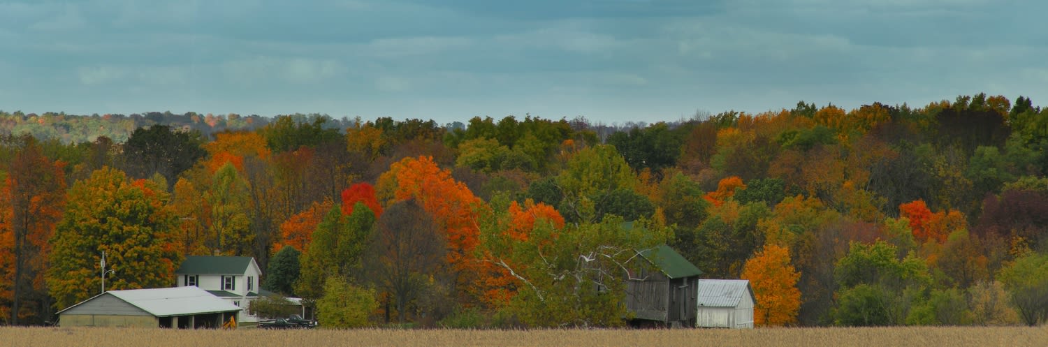 Backlands Indiana