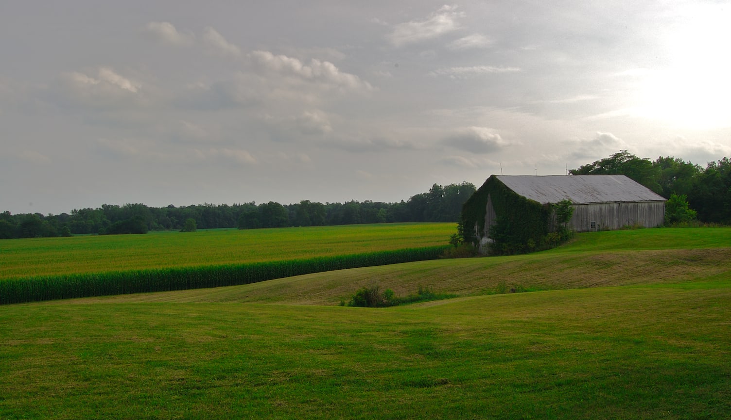 Hamilton Farm