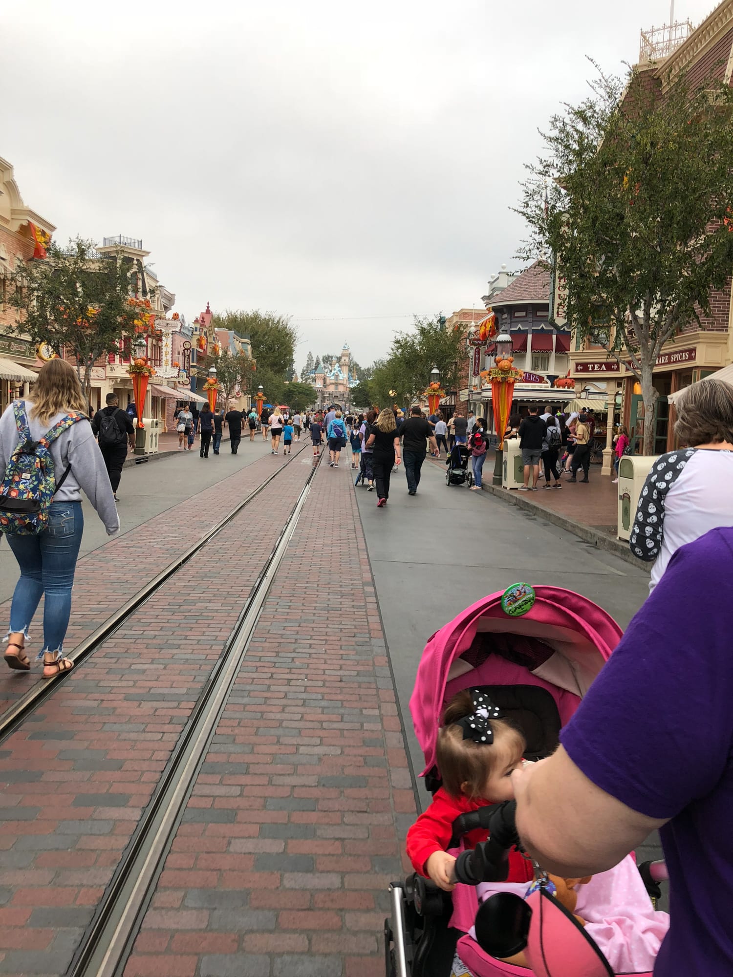 Disneyland Main Street