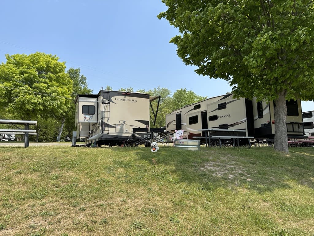 Two RVs parked on a grassy area with trees and picnic tables nearby.