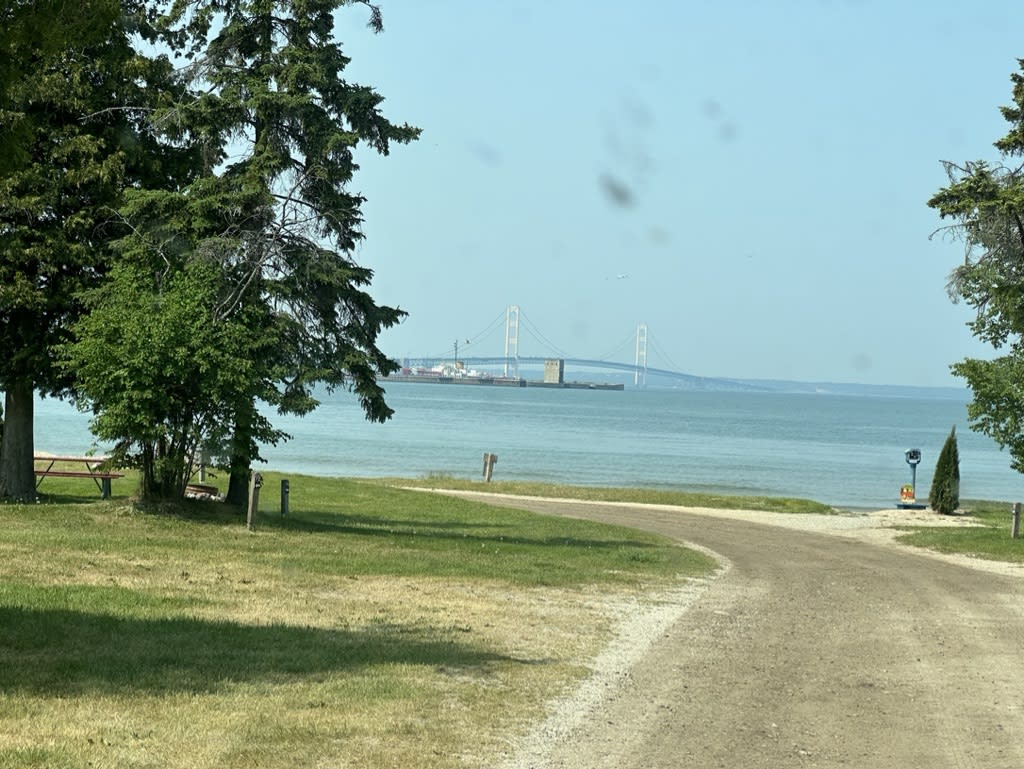 View of a bridge over water with trees in the foreground.
