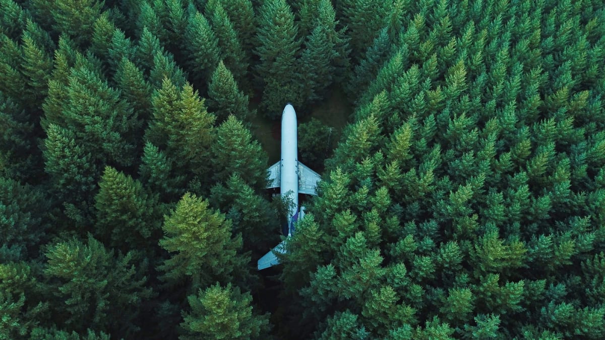 airplane on ground surrounded with trees