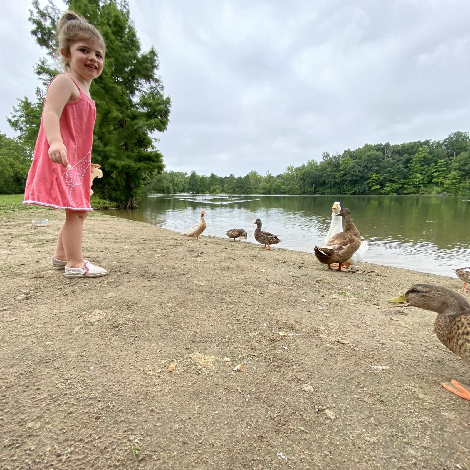Feeding the ducks