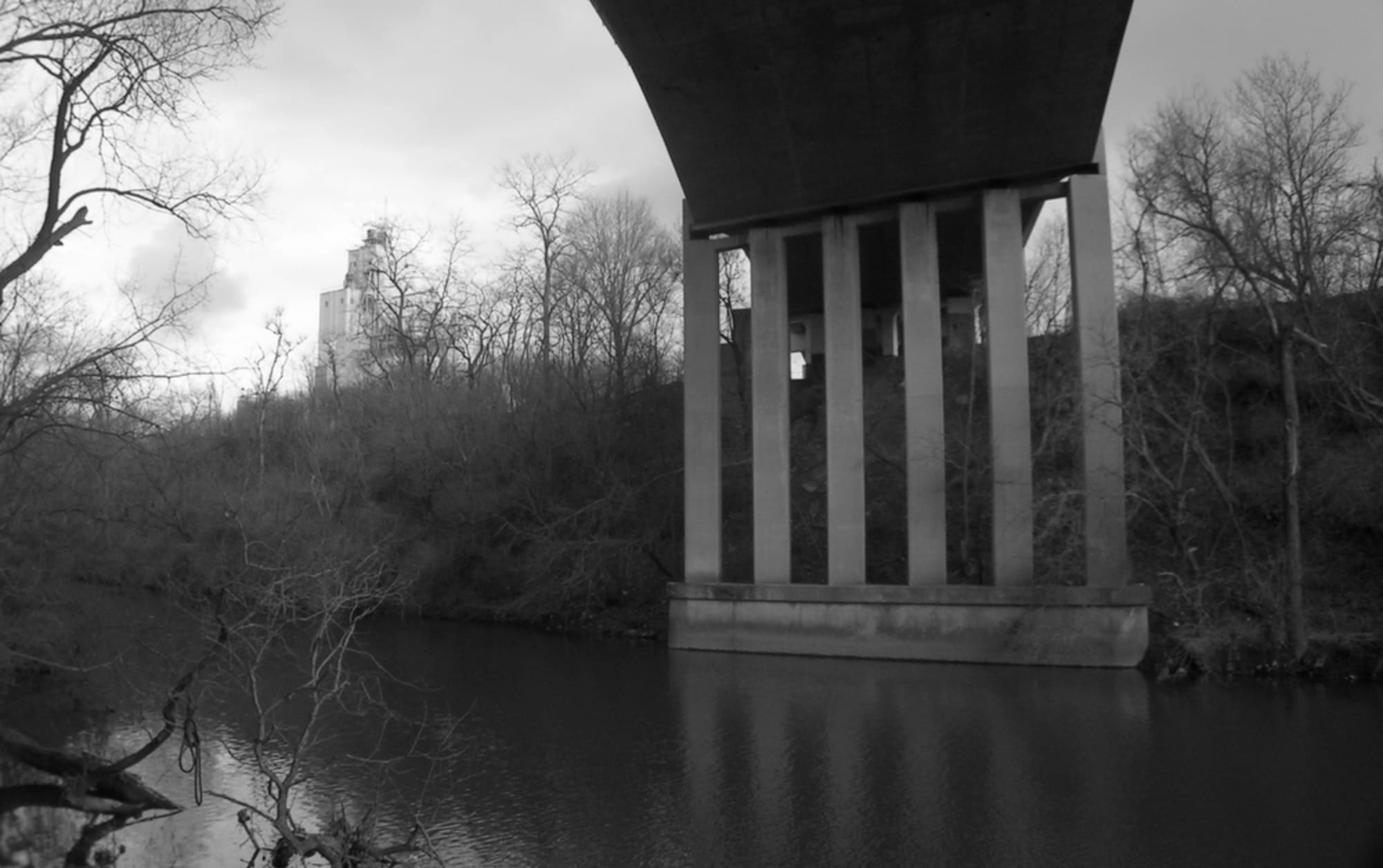 Richmond Ave. Bridge and Purina