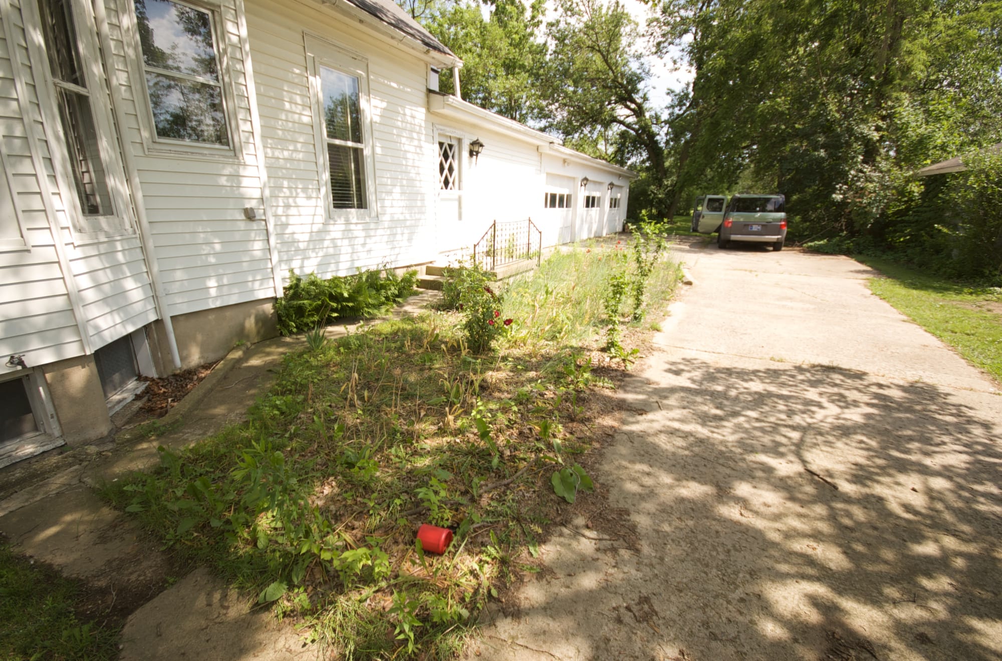 The yard when we moved in