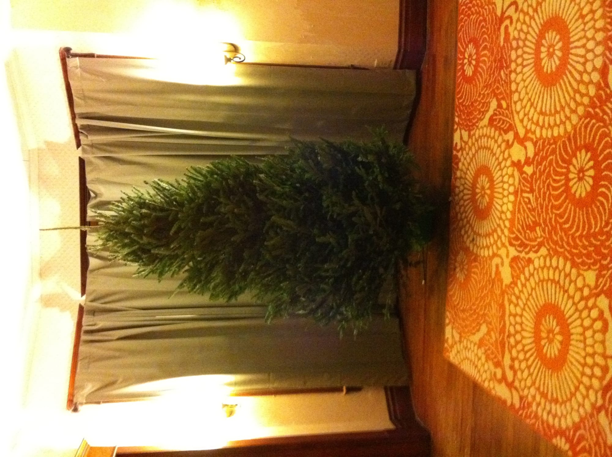 Christmas tree time!