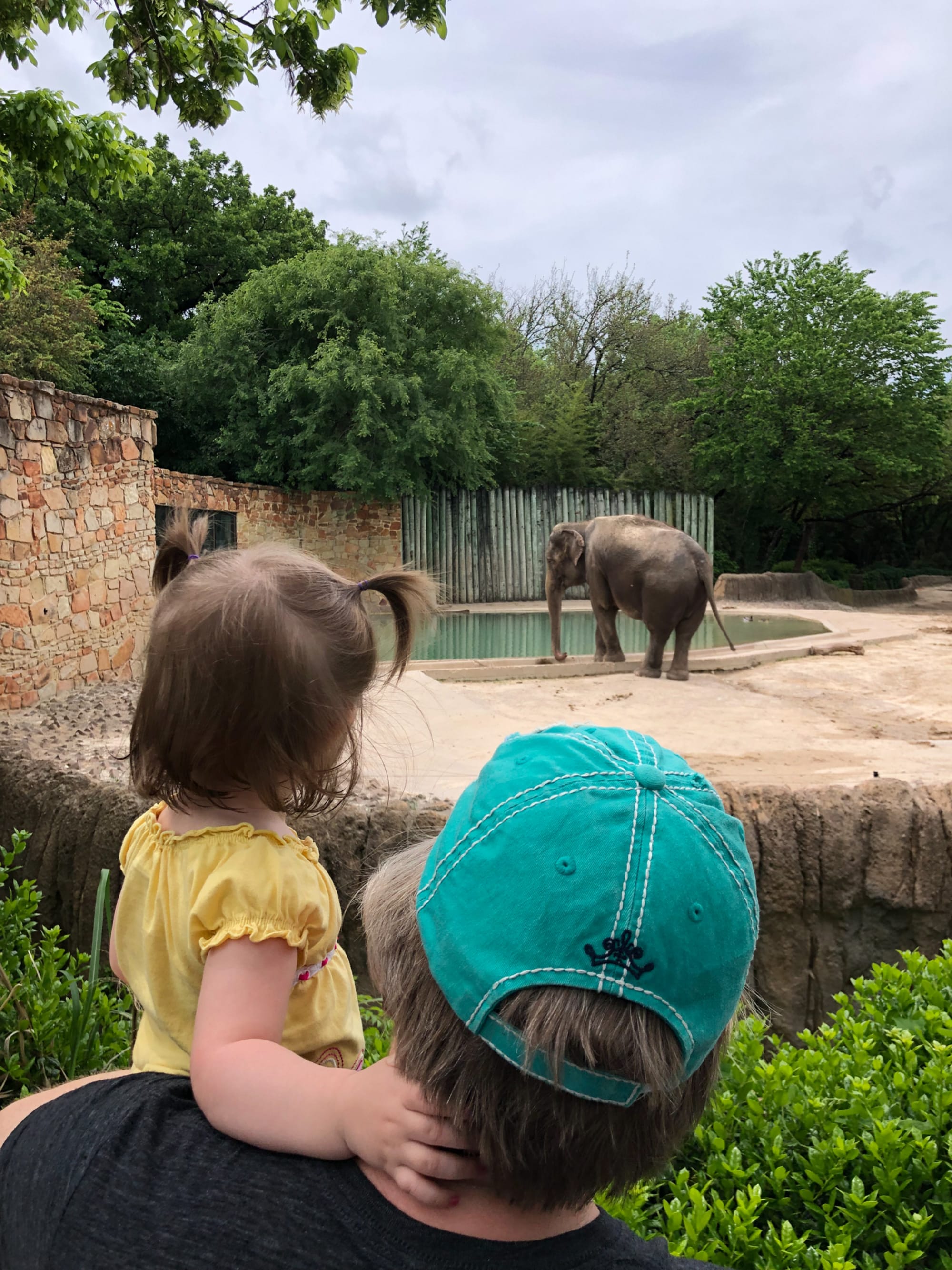 Lil meets the elephants!