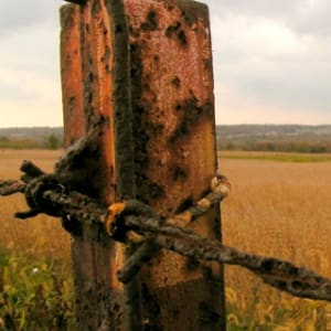 iPhone Wallpaper: Fence Post