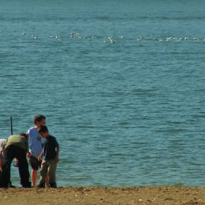 The discovery