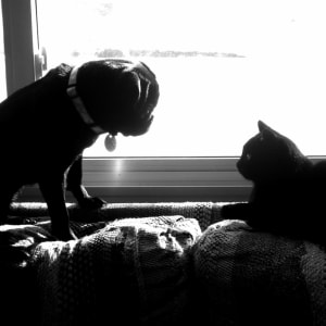 The Truce