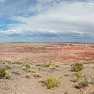 The Painted Desert
