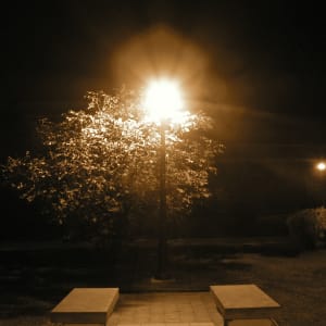 Strange Light