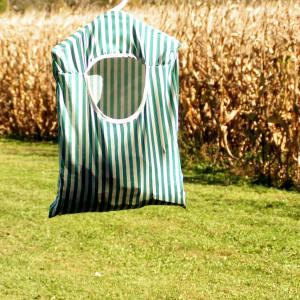 The clothes line