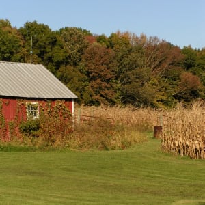 The Farm