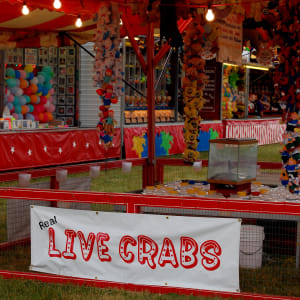 Real Live Crabs