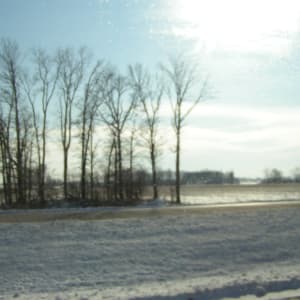 Road to Indy