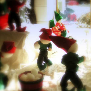 Window Display