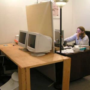 231.jpg